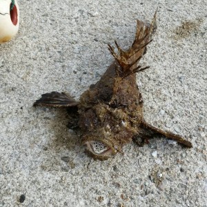 013210928a435dce3941923250583ca0f88ca9cd94