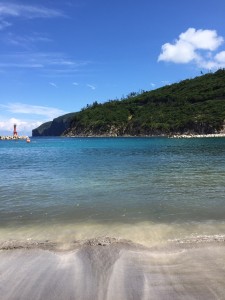 0170d833d1a40895ff9ed21d23de58654f8c84d592