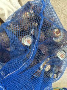 01978a679707218d27a7364322a81e37f90a7e8bea